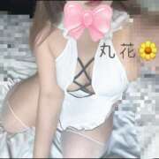 丸花（まるはな） 嘘じゃないよ🐷♡笑 丸妻 錦糸町店