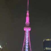 りんな ありがとう 黄金の口 本店