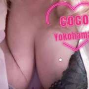 ヒメ日記 2026/03/18 07:02 投稿 日向ここ 横浜ダンディー