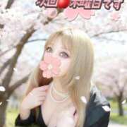 ヒメ日記 2026/04/08 11:16 投稿 日向ここ 横浜ダンディー