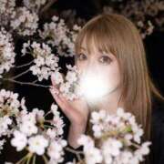 ヒメ日記 2026/04/12 10:01 投稿 日向ここ 横浜ダンディー