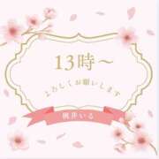 ヒメ日記 2026/04/05 11:06 投稿 桃井いる(ももいいる) 五十路マダムエクスプレス厚木店(カサブランカグループ)