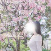 ヒメ日記 2026/03/18 15:45 投稿 祈里-inori- 品川エッセンス