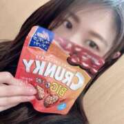 ヒメ日記 2026/03/31 10:55 投稿 小春 人妻・若妻デリヘル レディプレイス