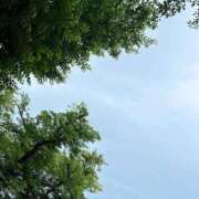 ヒメ日記 2026/05/13 08:00 投稿 小春 人妻・若妻デリヘル レディプレイス