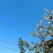 ヒメ日記 2026/05/18 08:00 投稿 小春 人妻・若妻デリヘル レディプレイス