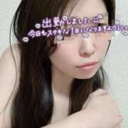 ヒメ日記 2026/06/12 08:00 投稿 小春 人妻・若妻デリヘル レディプレイス