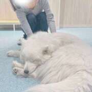 ヒメ日記 2026/03/17 09:33 投稿 みなも モアグループ川越人妻花壇