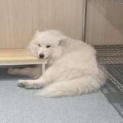 ヒメ日記 2026/03/21 17:44 投稿 みなも モアグループ川越人妻花壇