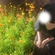 ヒメ日記 2026/05/06 09:05 投稿 みなも モアグループ川越人妻花壇