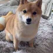 ヒメ日記 2026/03/22 23:01 投稿 じゅり「人妻」 奥様アテンド小山店