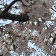 ヒメ日記 2026/04/01 10:51 投稿 じゅり「人妻」 奥様アテンド小山店