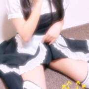 ねね たいきん🐈‍⬛ 千葉メイドリーム（ユメオト）