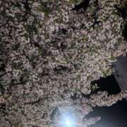 ヒメ日記 2026/04/09 17:50 投稿 のり 熟女の風俗最終章 錦糸町店