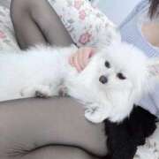 ヒメ日記 2026/03/05 10:16 投稿 ゆあきゃ イクイクサークル鶯谷店