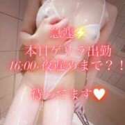 ヒメ日記 2026/06/05 12:24 投稿 Kurea THE MUSE