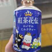 ヒメ日記 2026/03/17 11:10 投稿 せいか 東京人妻セレブリティ（ユメオト）