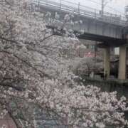 ヒメ日記 2026/04/05 13:51 投稿 せいか 東京人妻セレブリティ（ユメオト）