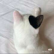 ヒメ日記 2026/02/27 12:00 投稿 りつ バタフライ立川