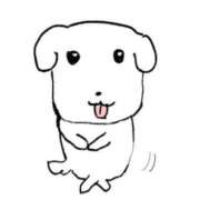 ヒメ日記 2026/02/24 02:50 投稿 えま リアル難波店