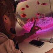 ヒメ日記 2026/03/04 02:50 投稿 えま リアル難波店