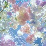 ヒメ日記 2026/06/24 21:01 投稿 桜井 まどか ハレ系 放課後クラブ
