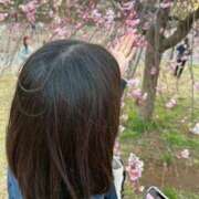 森下　のの さくら🌸 メイドin横浜（横浜ハレ系）