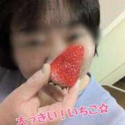 ヒメ日記 2026/03/23 18:40 投稿 小林紀香 五十路マダム 浜松店(カサブランカグループ)