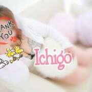 ヒメ日記 2026/02/22 09:16 投稿 いちご 熟女の風俗最終章 宇都宮店