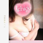 ヒメ日記 2026/02/22 12:03 投稿 いちご 熟女の風俗最終章 宇都宮店