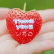 ヒメ日記 2026/02/24 10:51 投稿 いちご 熟女の風俗最終章 宇都宮店