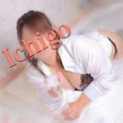 ヒメ日記 2026/03/17 14:55 投稿 いちご 熟女の風俗最終章 宇都宮店