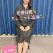 ヒメ日記 2026/03/25 12:07 投稿 いちご 熟女の風俗最終章 宇都宮店