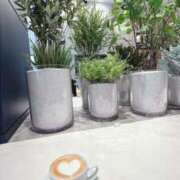 ヒメ日記 2026/04/15 11:41 投稿 いちご 熟女の風俗最終章 宇都宮店