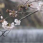 ヒメ日記 2026/03/23 14:18 投稿 かおる 完熟ばなな神戸・三宮店