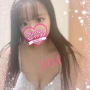 ヒメ日記 2026/03/20 20:16 投稿 のあ プリンセスセレクション姫路