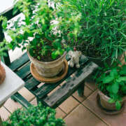 ヒメ日記 2026/03/03 06:16 投稿 天海【あまみ】 人妻日和(久喜)