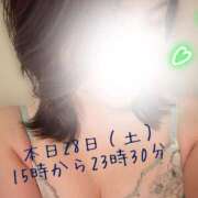 ヒメ日記 2026/02/28 09:46 投稿 中条せな ミセスレディ