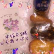 ヒメ日記 2026/03/07 02:01 投稿 中条せな ミセスレディ