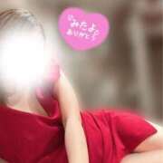 ヒメ日記 2026/07/09 07:46 投稿 中条せな ミセスレディ
