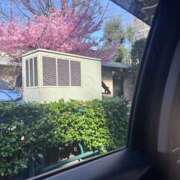 れい もう春だね♡ かわいい素人女子TOP100(地方出身者編)