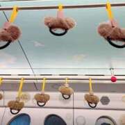 ヒメ日記 2026/02/25 13:52 投稿 とわこ 梅田アバンチュール