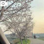 ヒメ日記 2026/03/29 17:54 投稿 とわこ 梅田アバンチュール