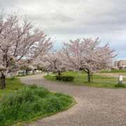 ヒメ日記 2026/04/02 07:42 投稿 とわこ 梅田アバンチュール