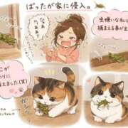 ヒメ日記 2026/07/31 21:19 投稿 とわこ 梅田アバンチュール