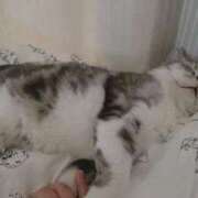 ヒメ日記 2026/02/22 07:01 投稿 ゆき 激安ドットコム