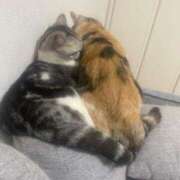 ヒメ日記 2026/02/22 12:03 投稿 ゆき 激安ドットコム