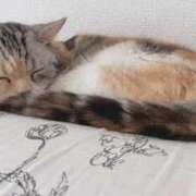 ヒメ日記 2026/02/23 07:01 投稿 ゆき 激安ドットコム