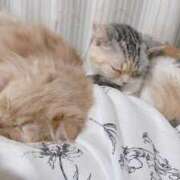 ヒメ日記 2026/02/24 07:05 投稿 ゆき 激安ドットコム