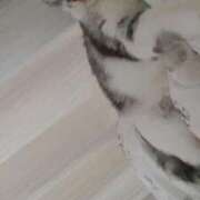 ヒメ日記 2026/02/27 12:05 投稿 ゆき 激安ドットコム